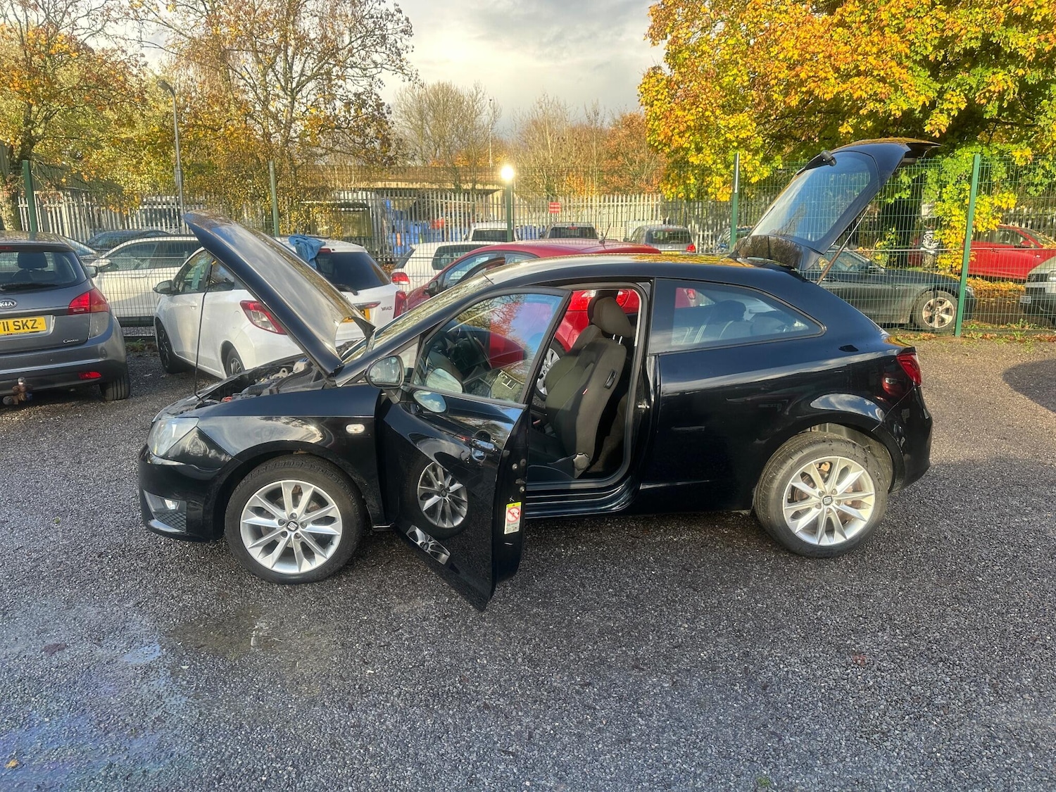 Used SEAT Ibiza 2013 for sale - 76538915: Photo 43