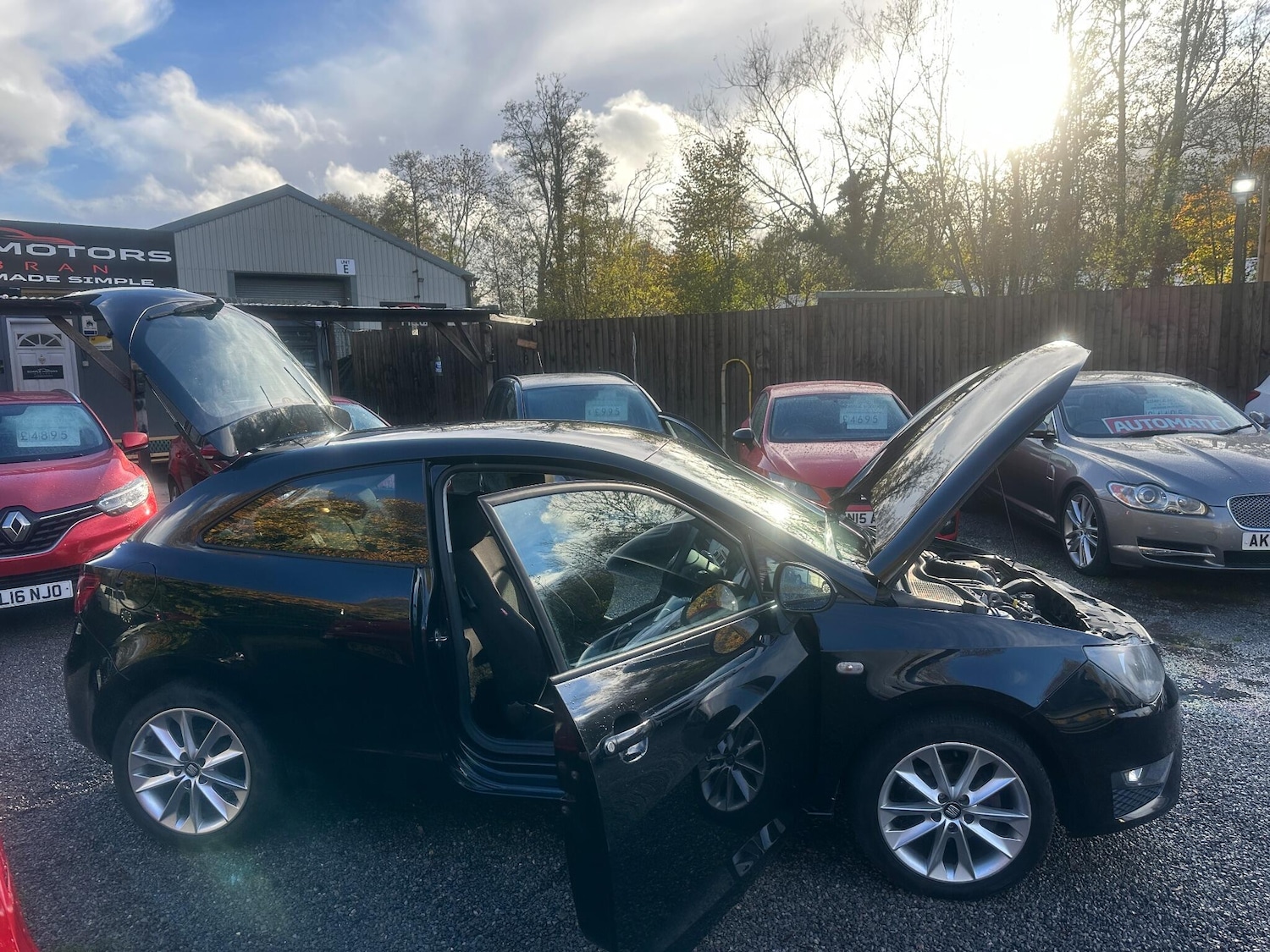 Used SEAT Ibiza 2013 for sale - 76538915: Photo 45