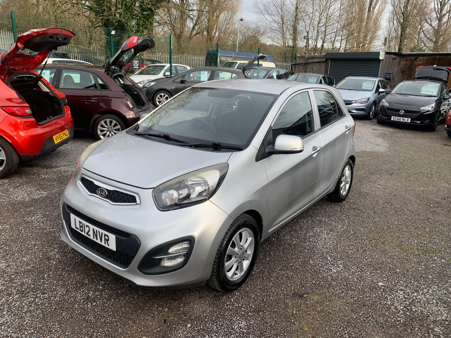 Used Kia Picanto for sale - 77538098: Photo 10