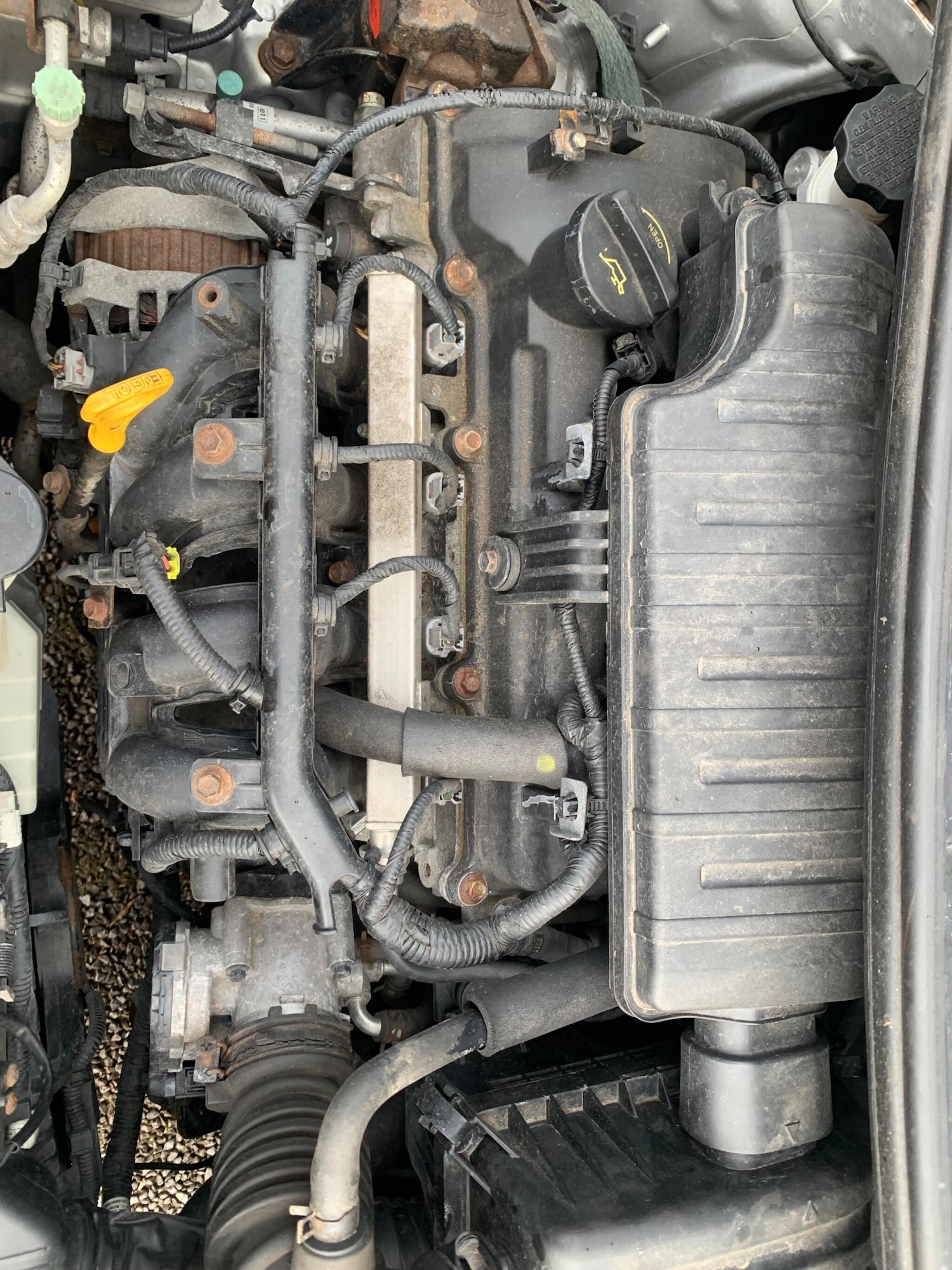 Used Kia Picanto for sale - 77538098: Photo 46