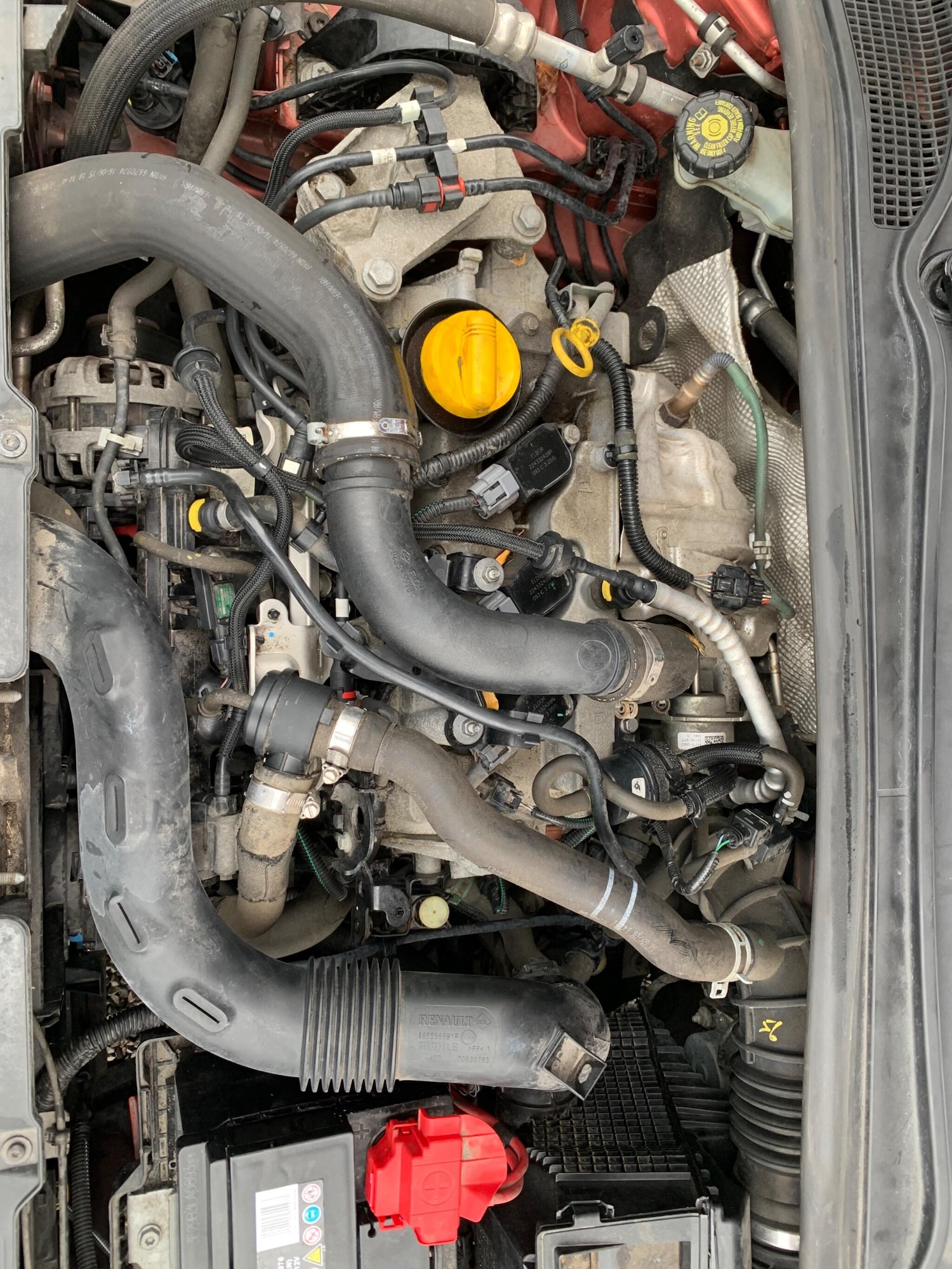 Used Renault Clio 2015 for sale - 76247349: Photo 46