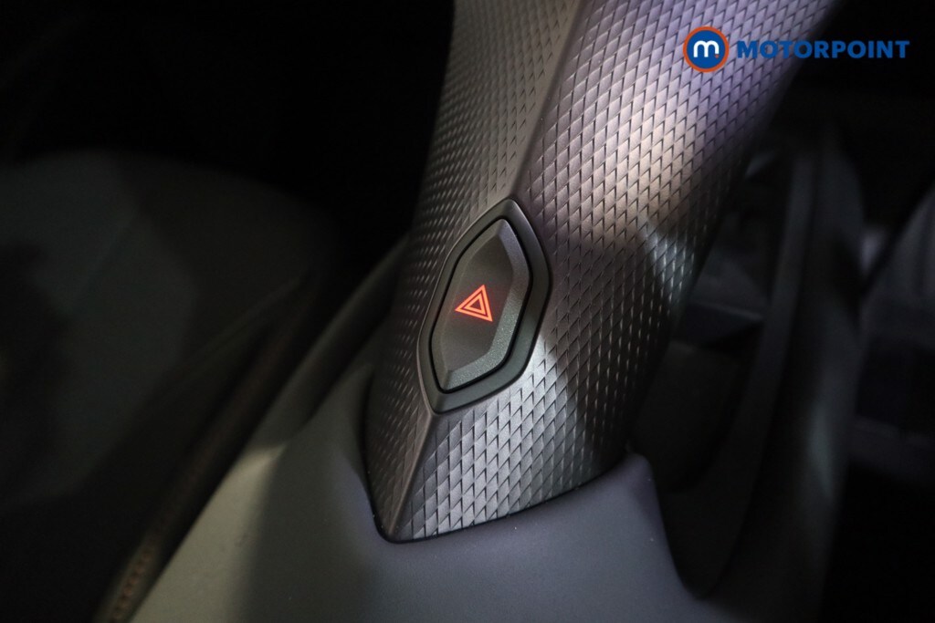 Used Cupra Tavascan for sale - 78144034: Photo 16