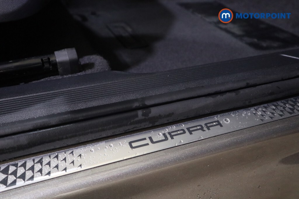 Used Cupra Tavascan for sale - 78144034: Photo 23