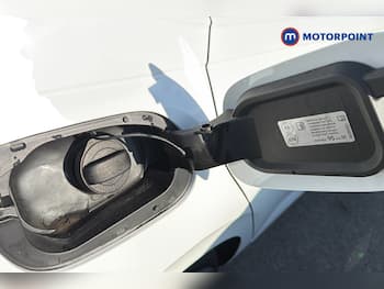 Used Volkswagen Polo 2024 for sale - 79629614: Photo