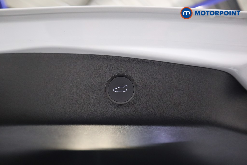 Used Tesla Model 3 2021 for sale - 77417916: Photo 26