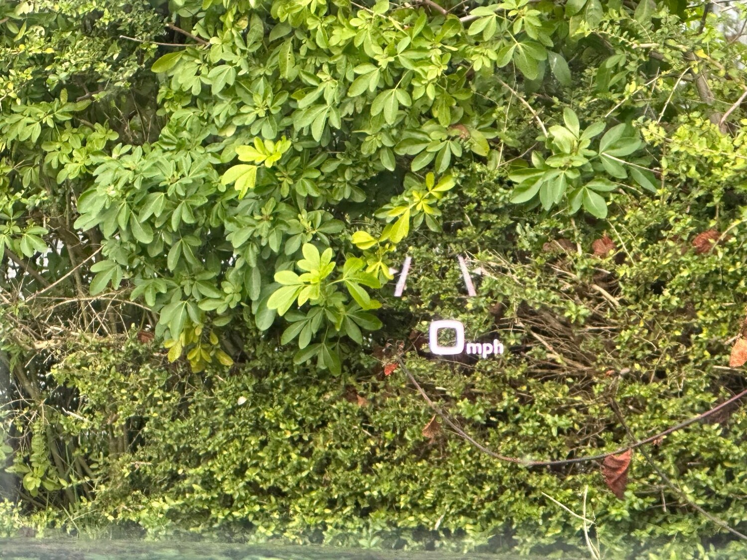 Used Audi A4 for sale - 77484196: Photo 33