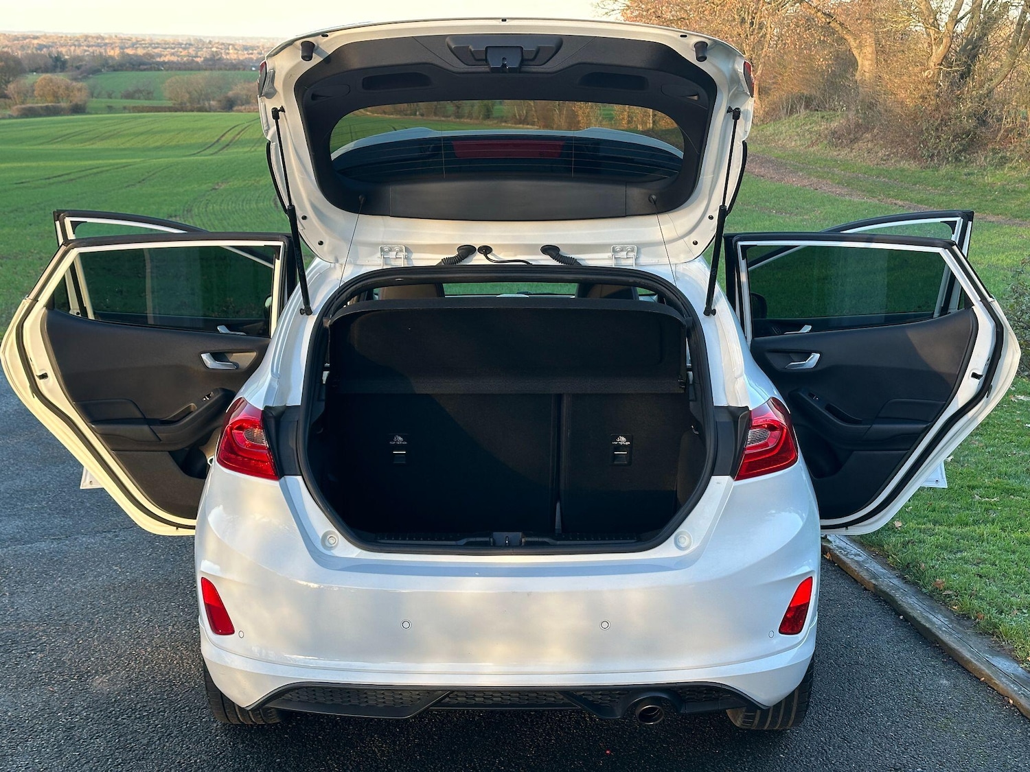 Used Ford Fiesta 2019 for sale - 76913810: Photo 29