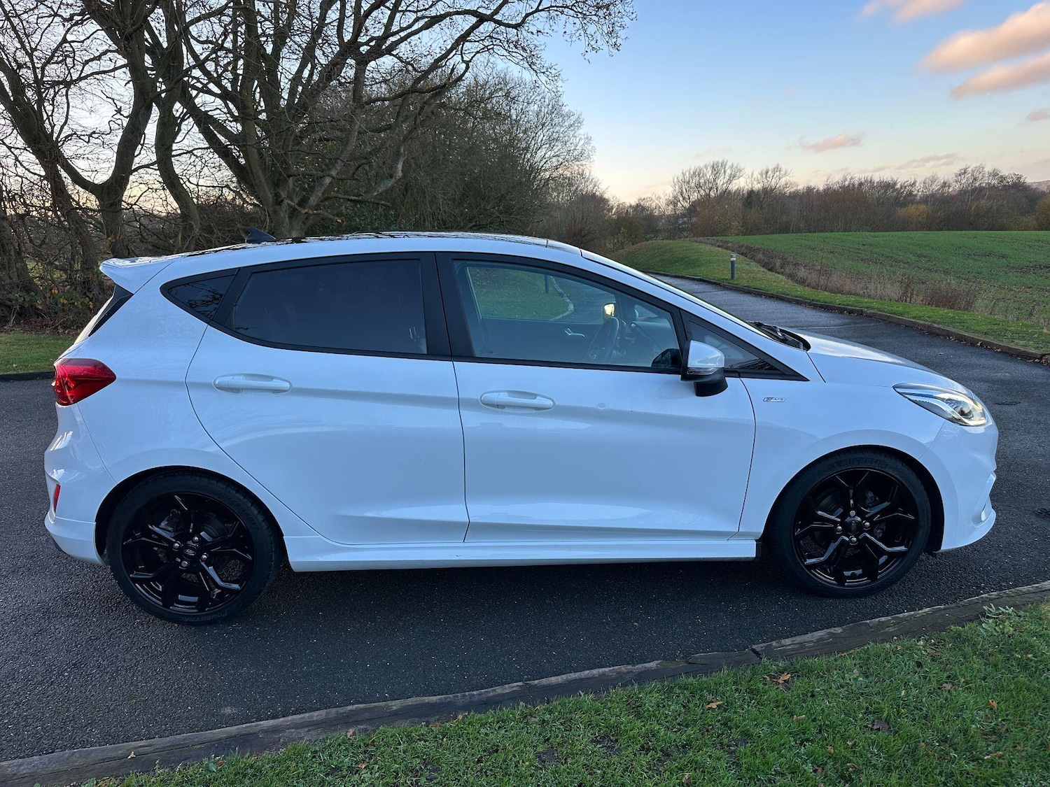 Used Ford Fiesta 2019 for sale - 76913810: Photo 8