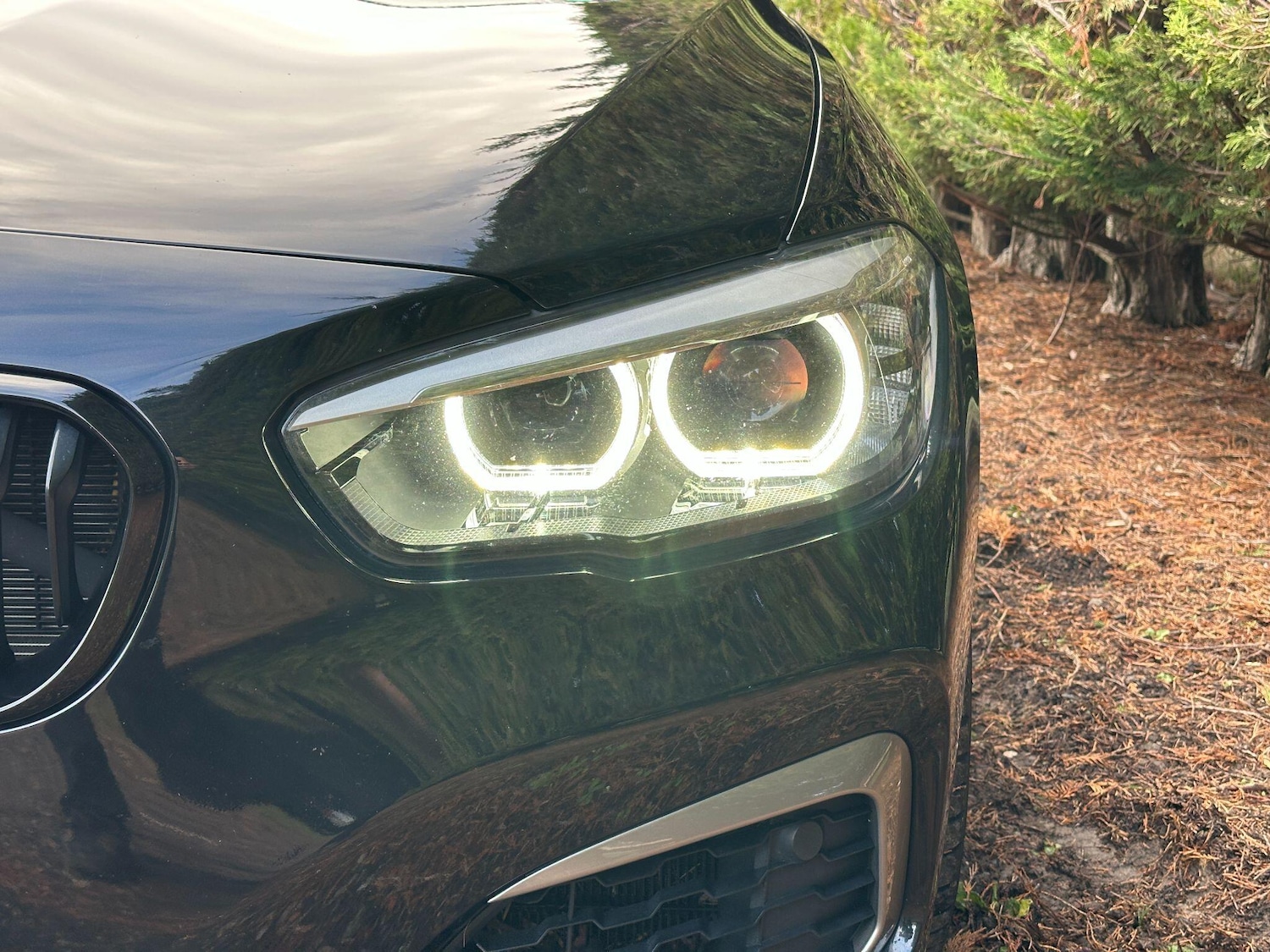 Used BMW 1 Series for sale - 77268139: Photo 46