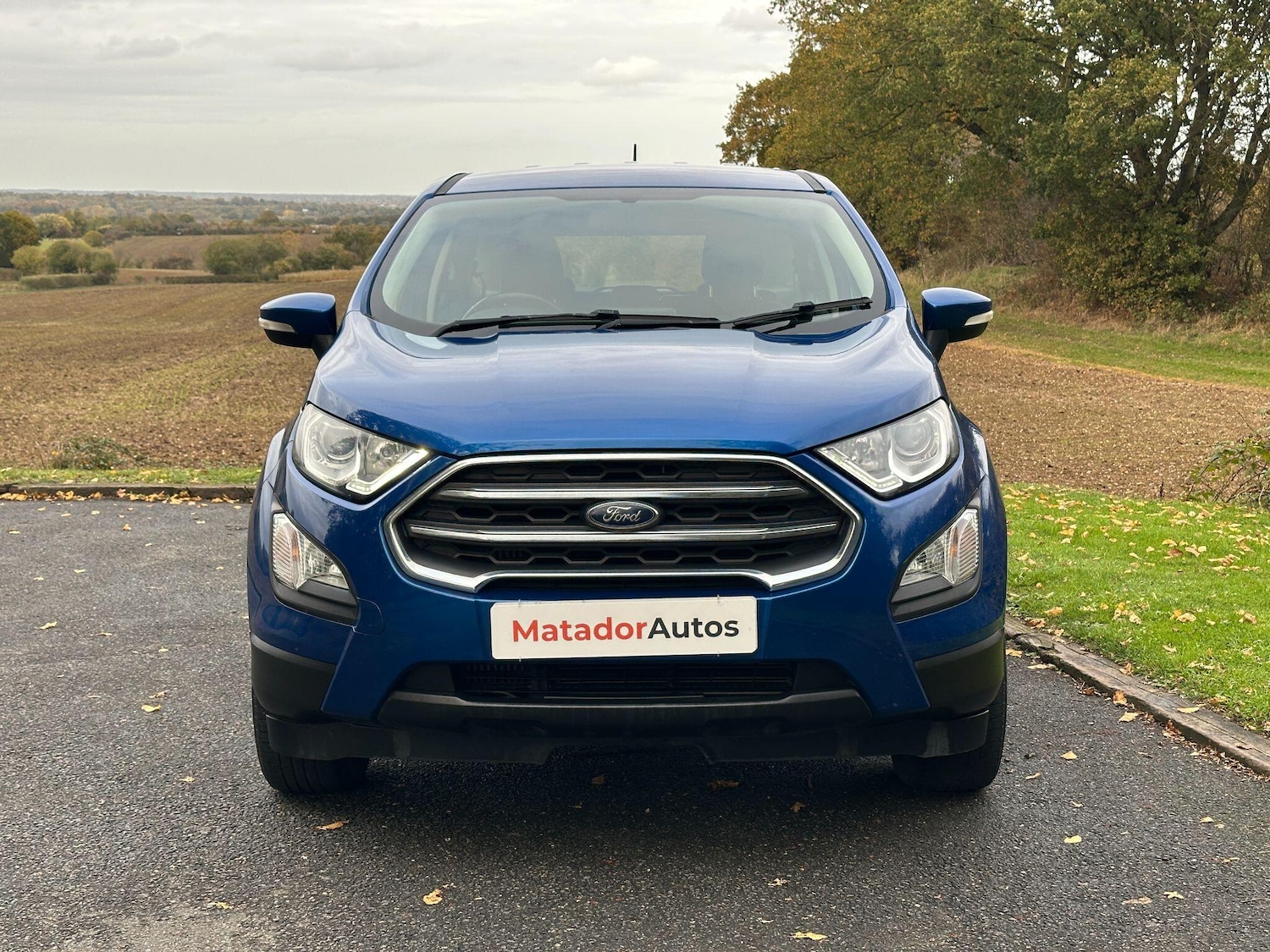 Used Ford Ecosport 2018 for sale - 76424188: Photo 2