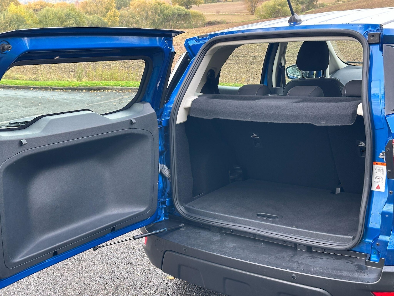 Used Ford Ecosport 2018 for sale - 76424188: Photo 21