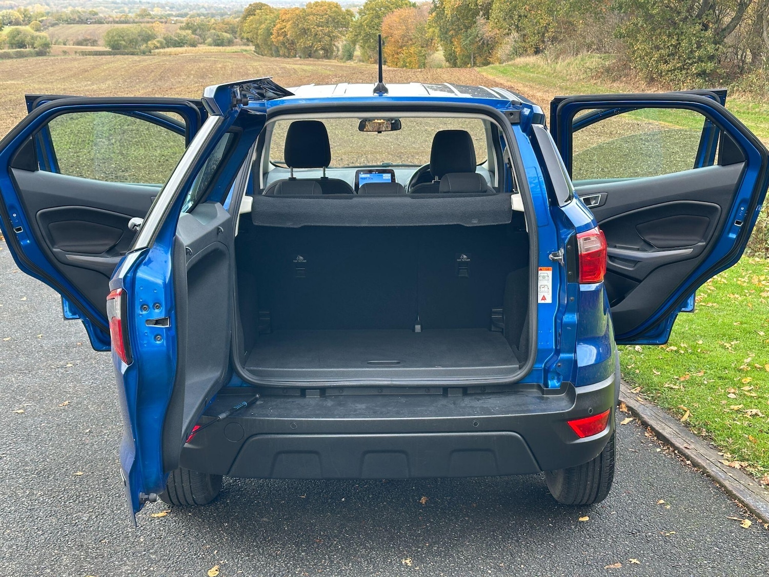 Used Ford Ecosport 2018 for sale - 76424188: Photo 39