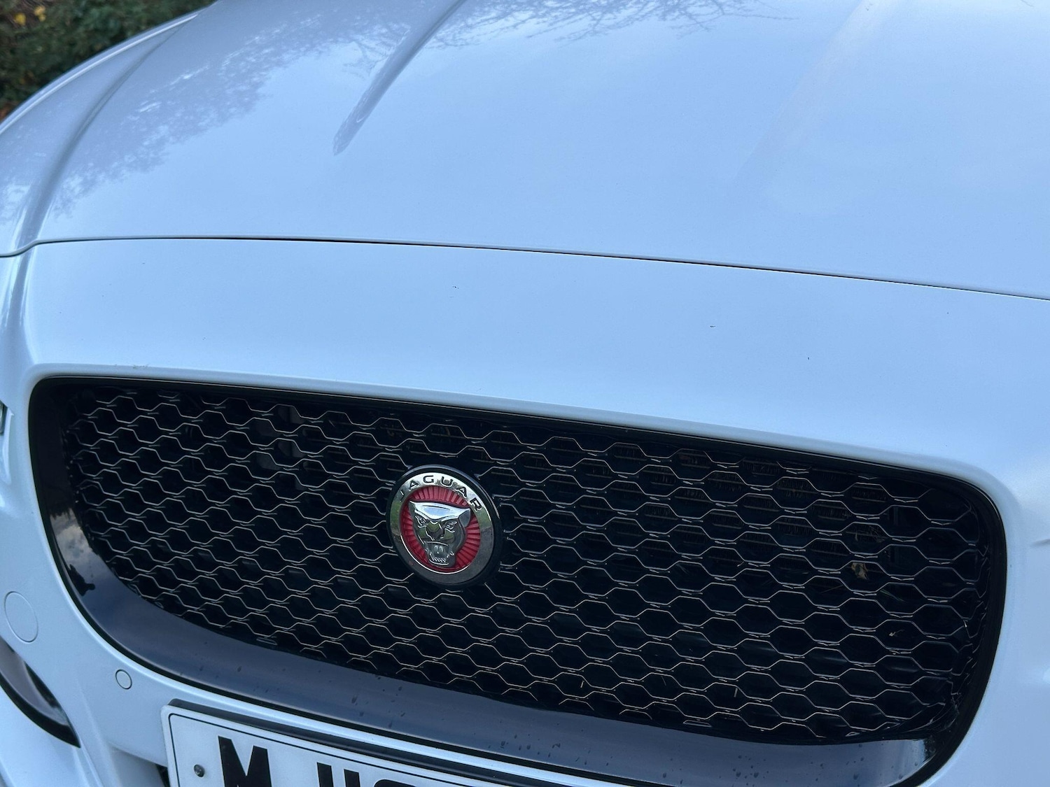 Used Jaguar XE 2016 for sale - 76572495: Photo 55