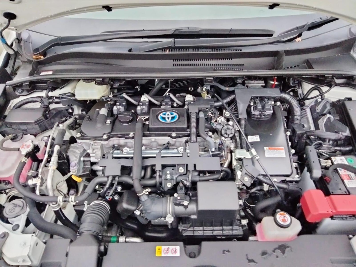 Used Toyota Corolla for sale - 76993830: Photo 50