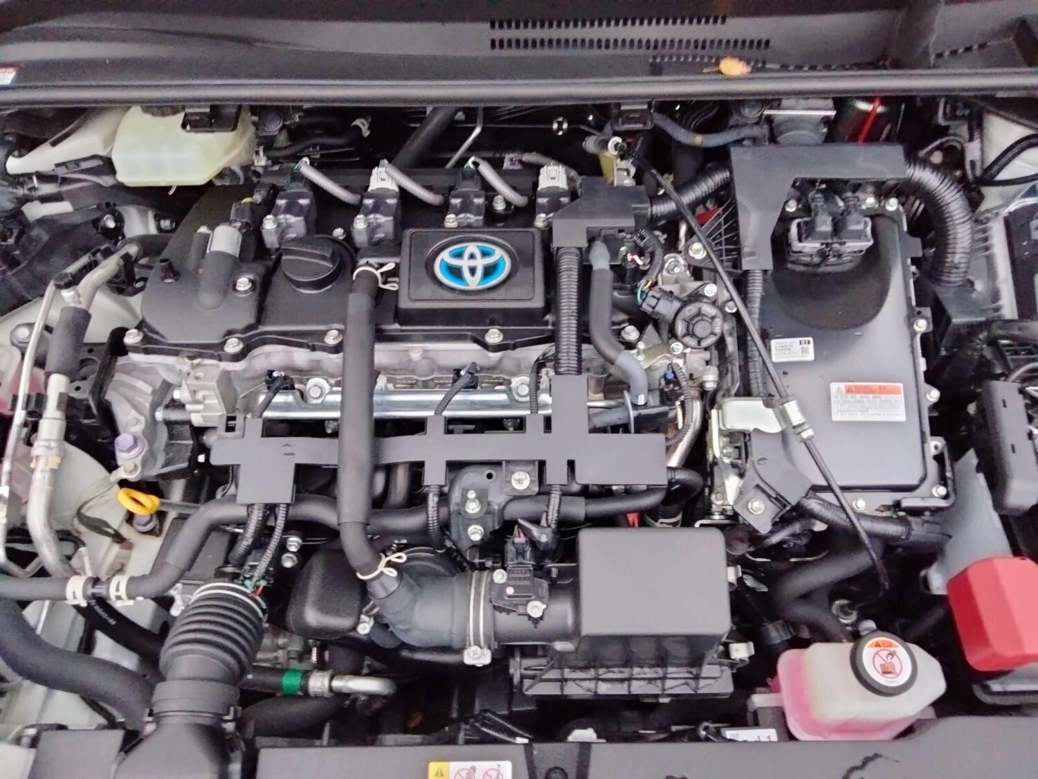 Used Toyota Corolla 2025 for sale - 76607644: Photo 49