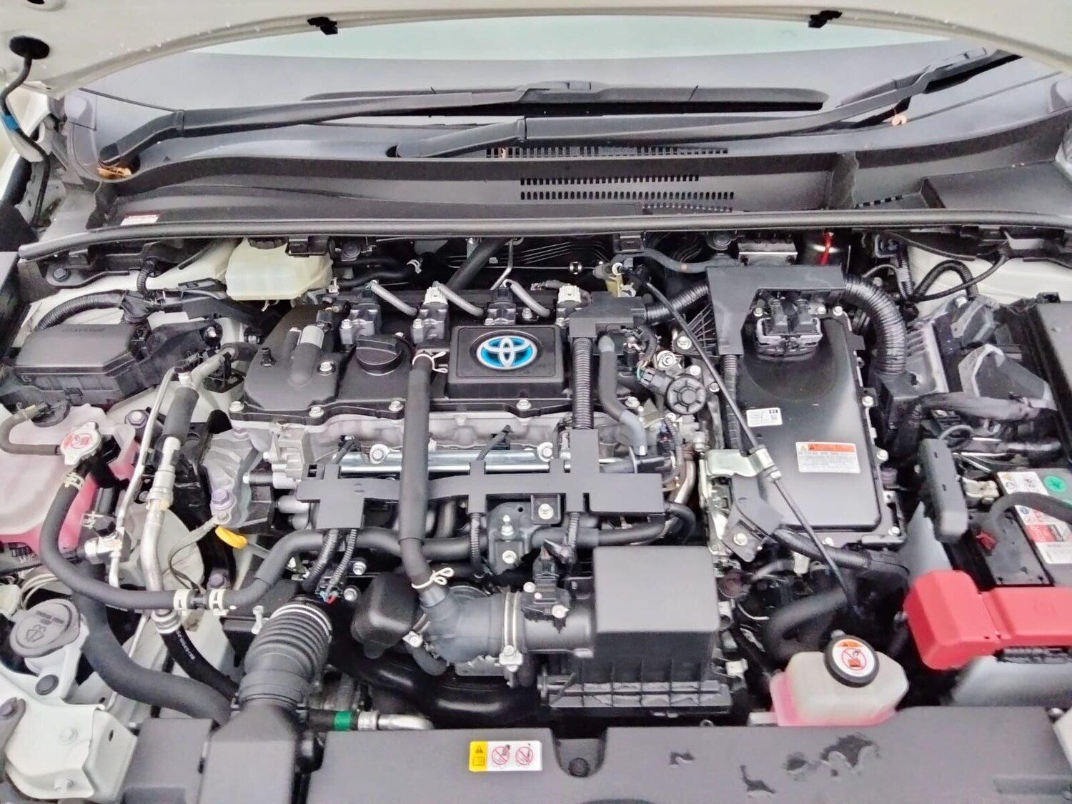 Used Toyota Corolla 2025 for sale - 76607644: Photo 50