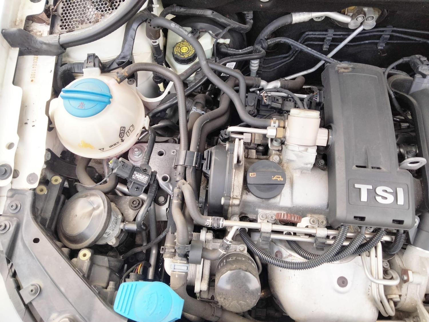 Used Volkswagen Polo 2025 for sale - 76839359: Photo 50