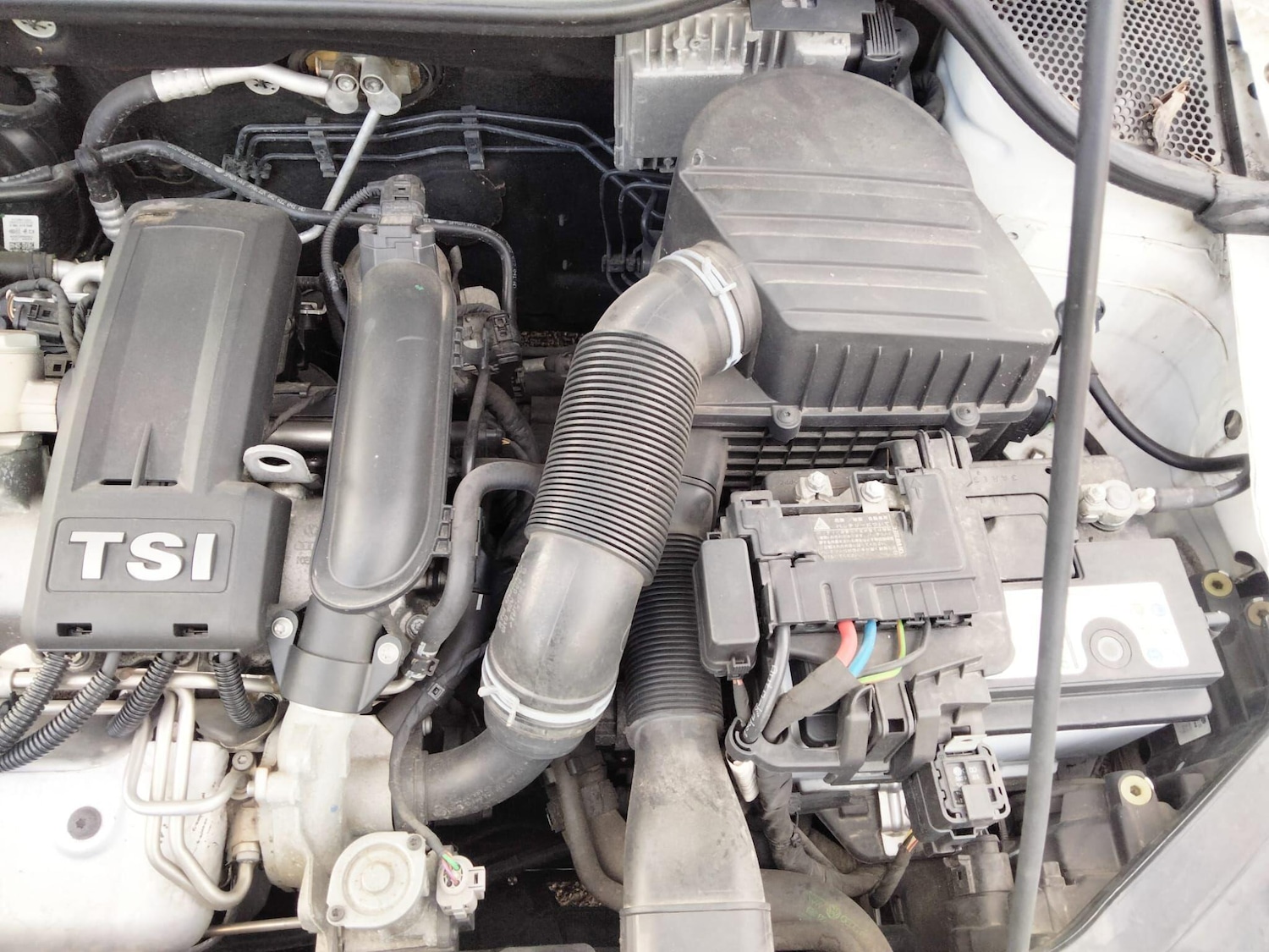 Used Volkswagen Polo 2025 for sale - 76839359: Photo 52