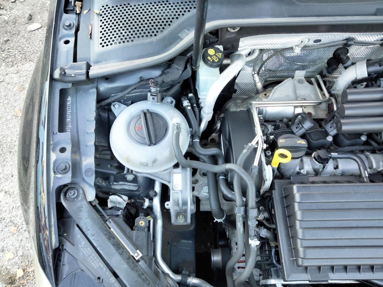 Used Volkswagen Golf 2025 for sale - 76667398: Photo 54