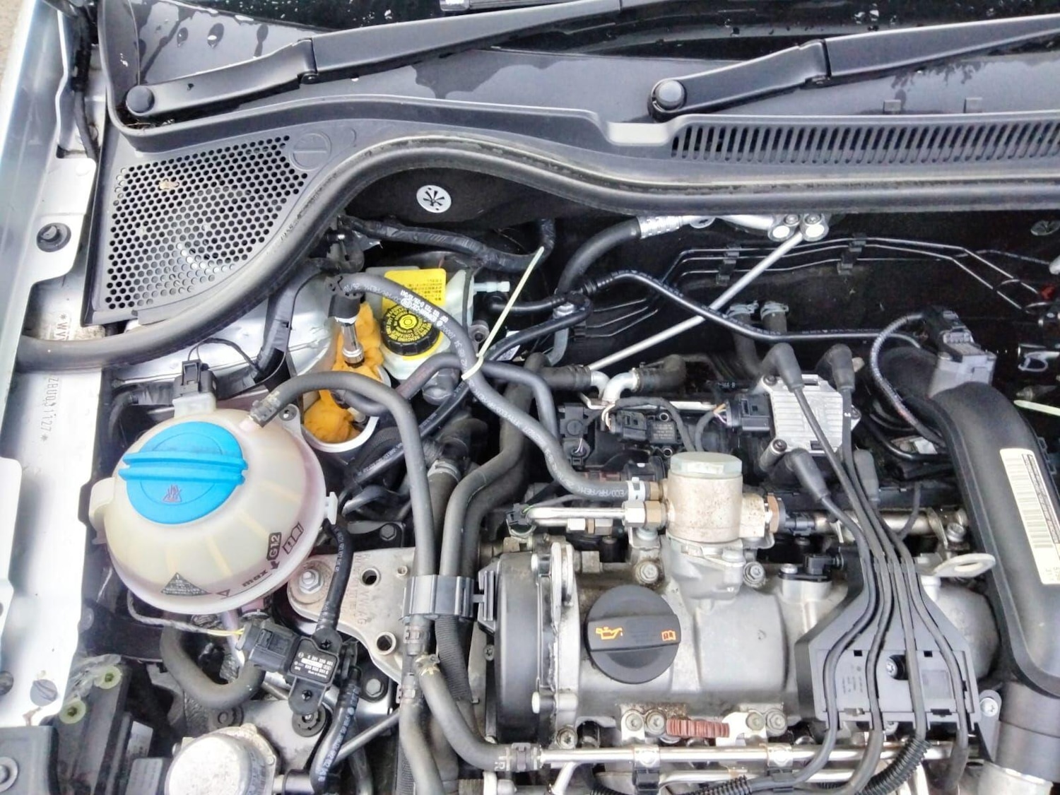 Used Volkswagen Polo 2025 for sale - 77016534: Photo 52