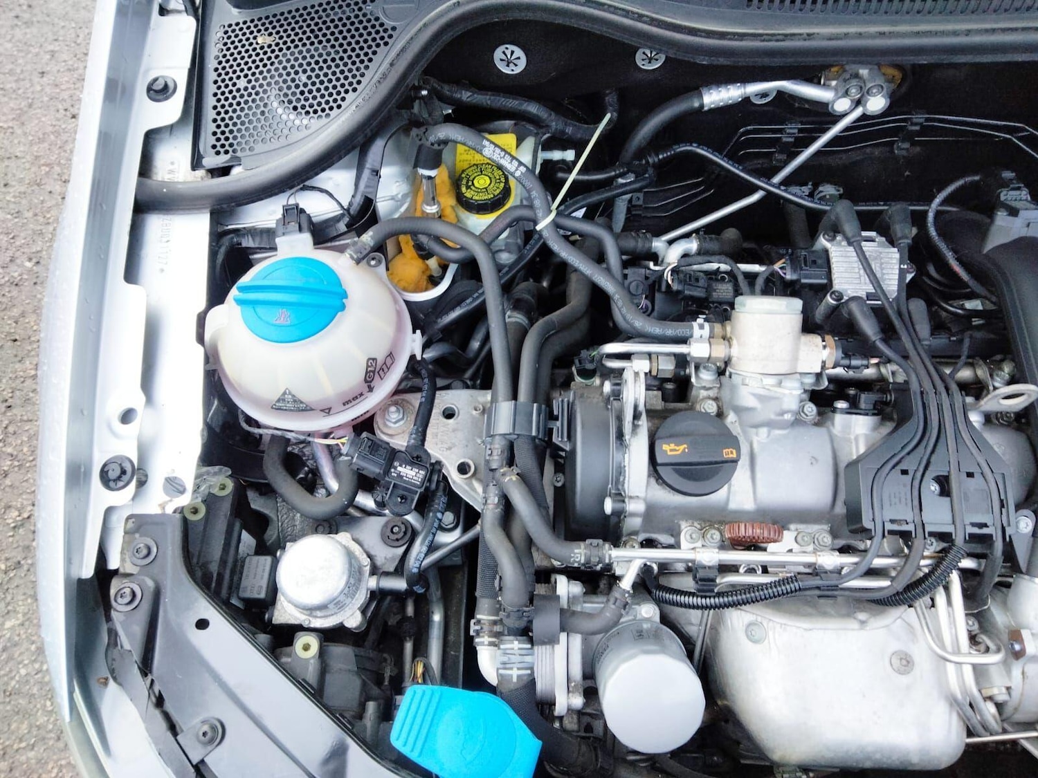 Used Volkswagen Polo 2025 for sale - 77016534: Photo 54