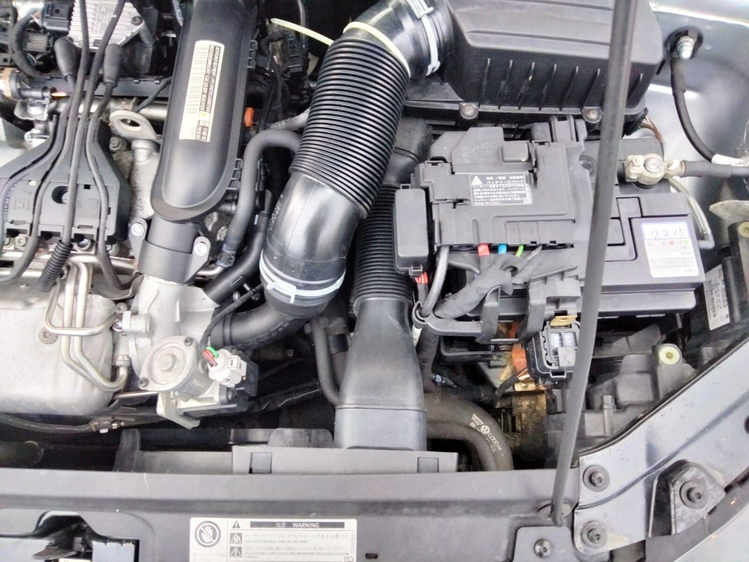 Used Volkswagen Polo 2025 for sale - 77016534: Photo 55