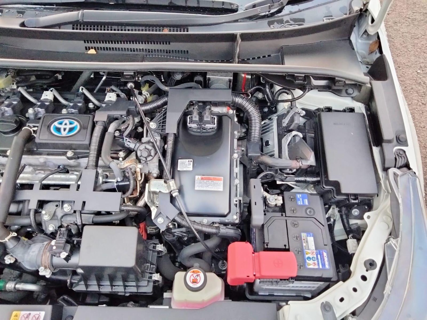 Used Toyota Prius 2025 for sale - 77015405: Photo 56