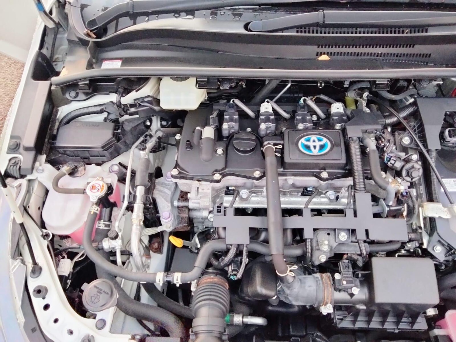 Used Toyota Prius 2025 for sale - 77015405: Photo 58