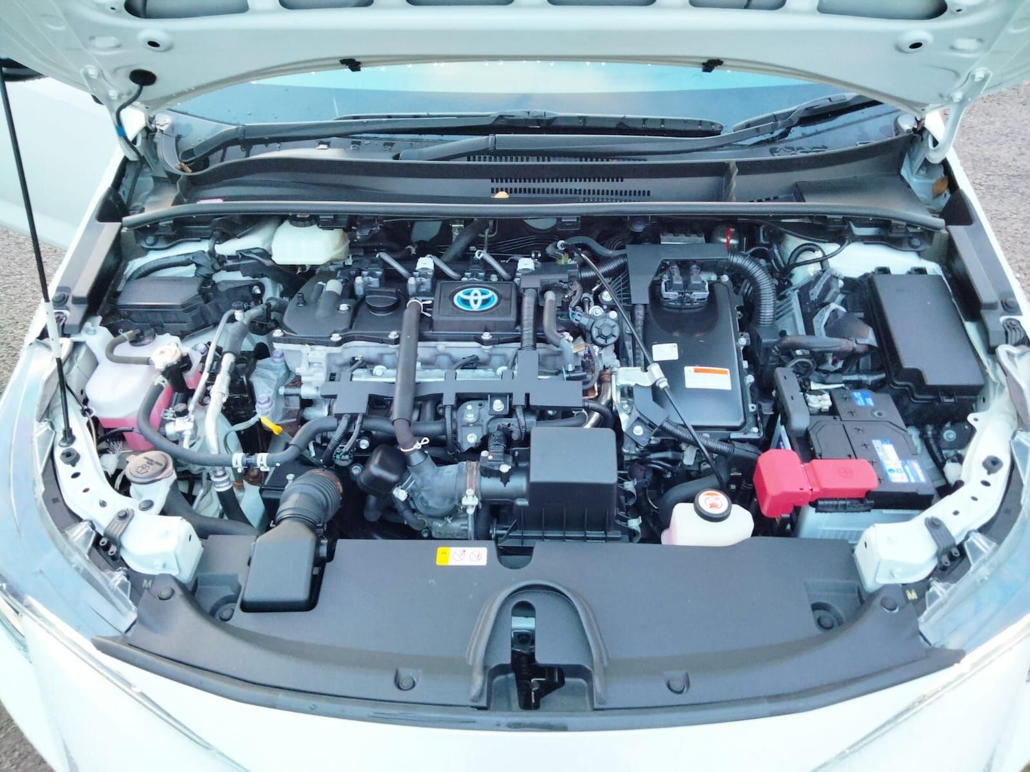 Used Toyota Prius 2025 for sale - 77015405: Photo 59