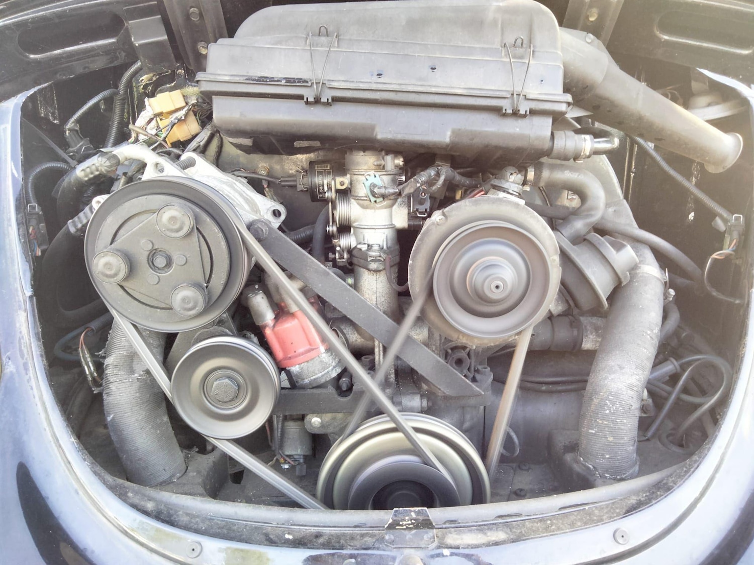 Used Volkswagen Beetle 2025 for sale - 76561004: Photo 74