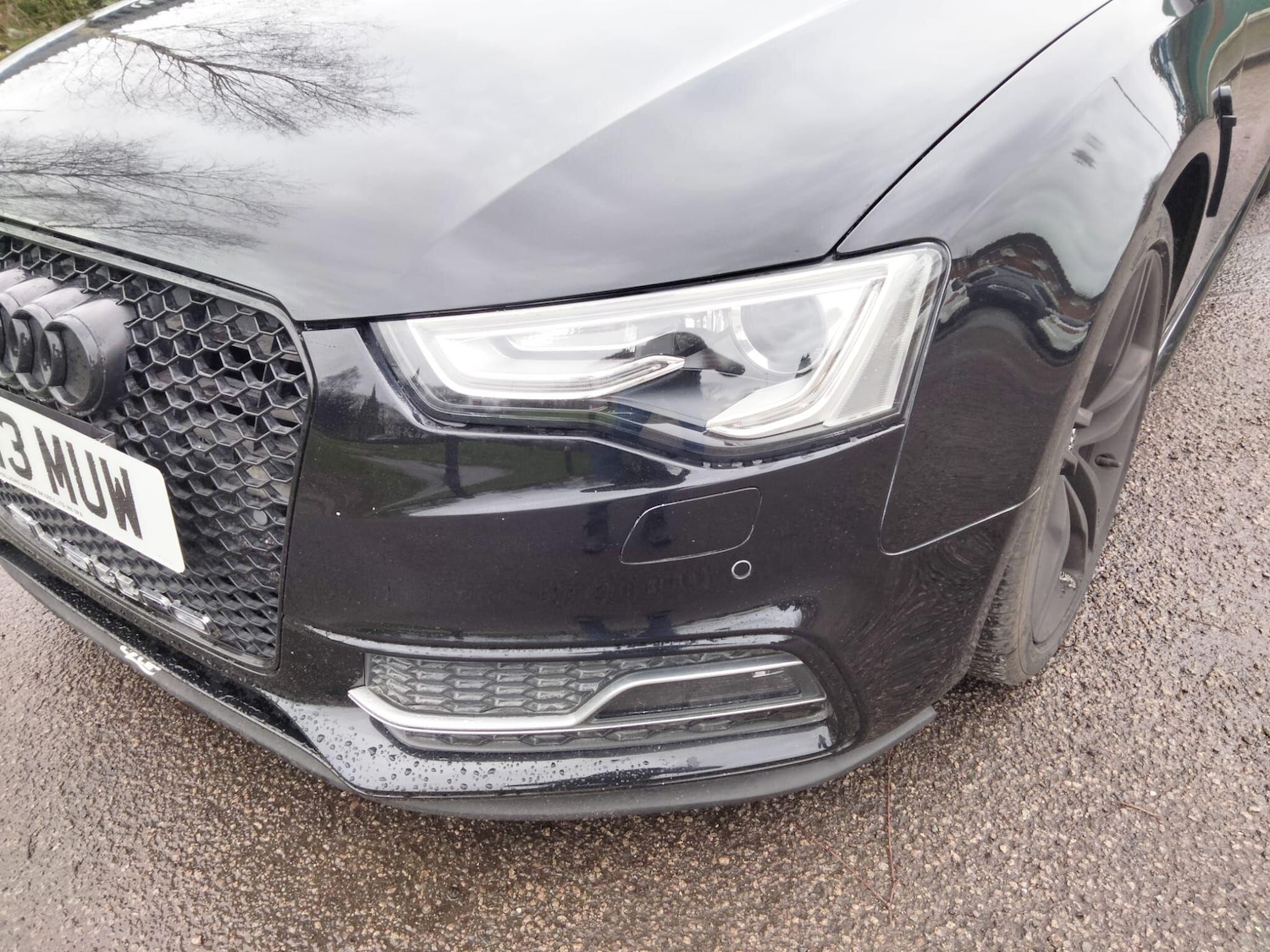 Used Audi S5 2026 for sale - 77647589: Photo 25