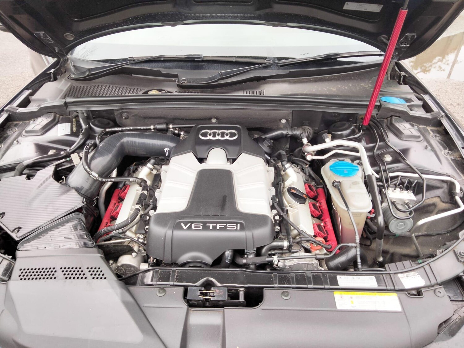 Used Audi S5 2026 for sale - 77647589: Photo 59