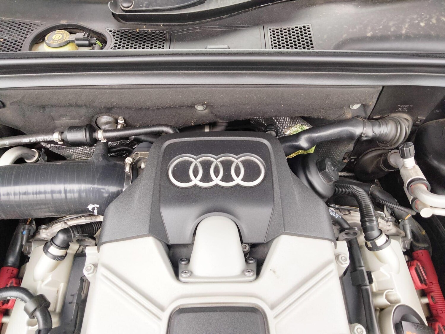 Used Audi S5 2026 for sale - 77647589: Photo 64