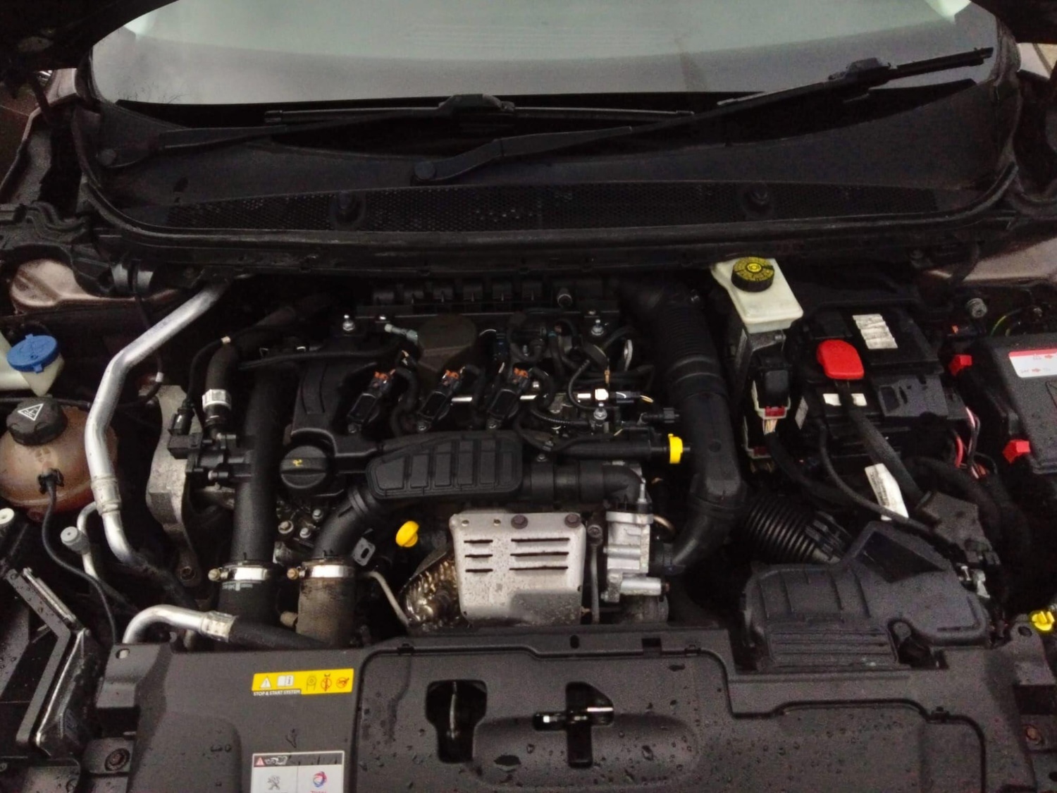 Used Peugeot 308 2014 for sale - 77670994: Photo 50