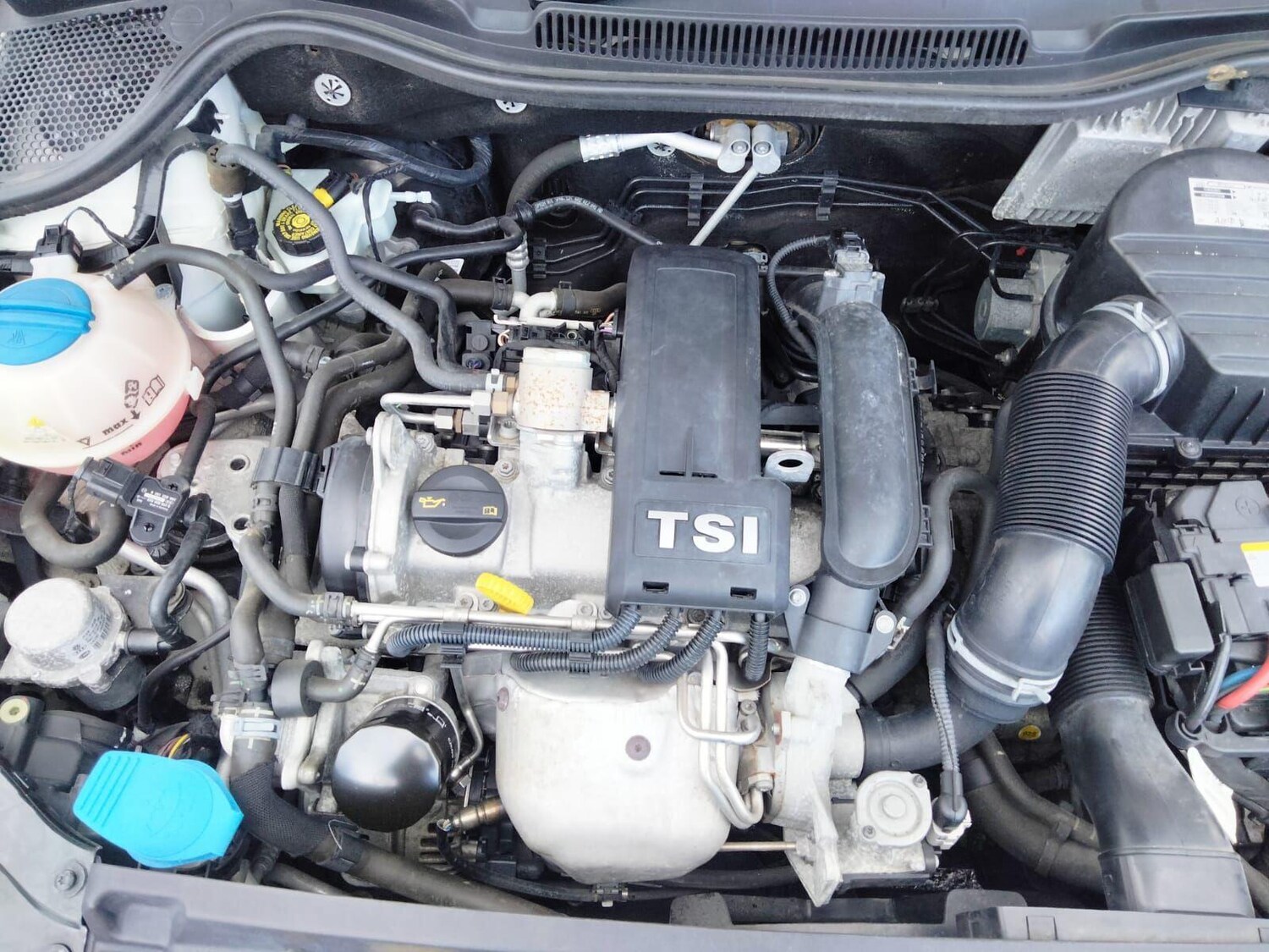 Used Volkswagen Polo 2025 for sale - 77647569: Photo 52