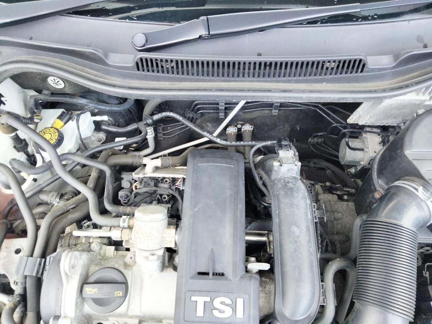 Used Volkswagen Polo 2025 for sale - 77647569: Photo 56