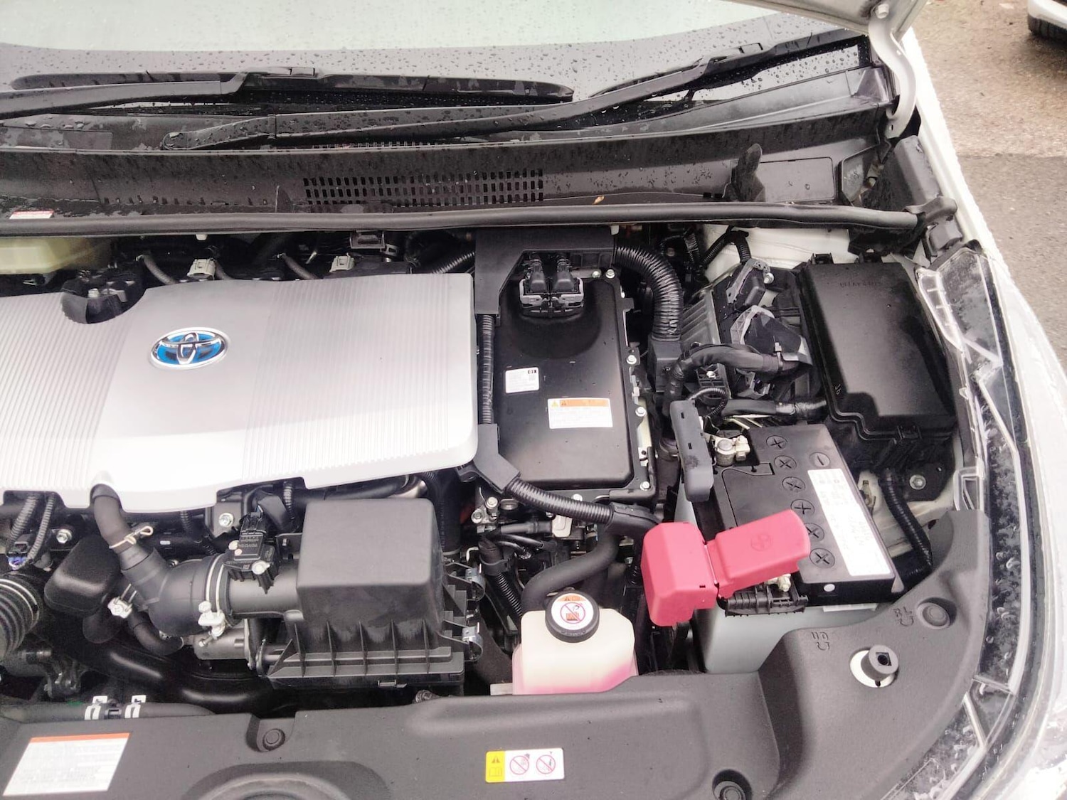 Used Toyota Prius 2025 for sale - 76765587: Photo 30