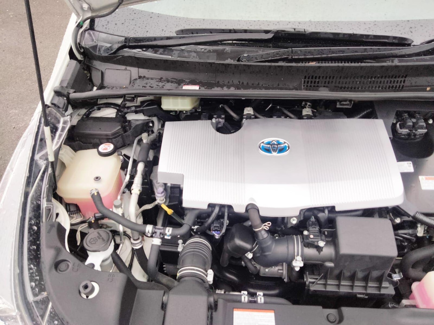 Used Toyota Prius 2025 for sale - 76765587: Photo 31