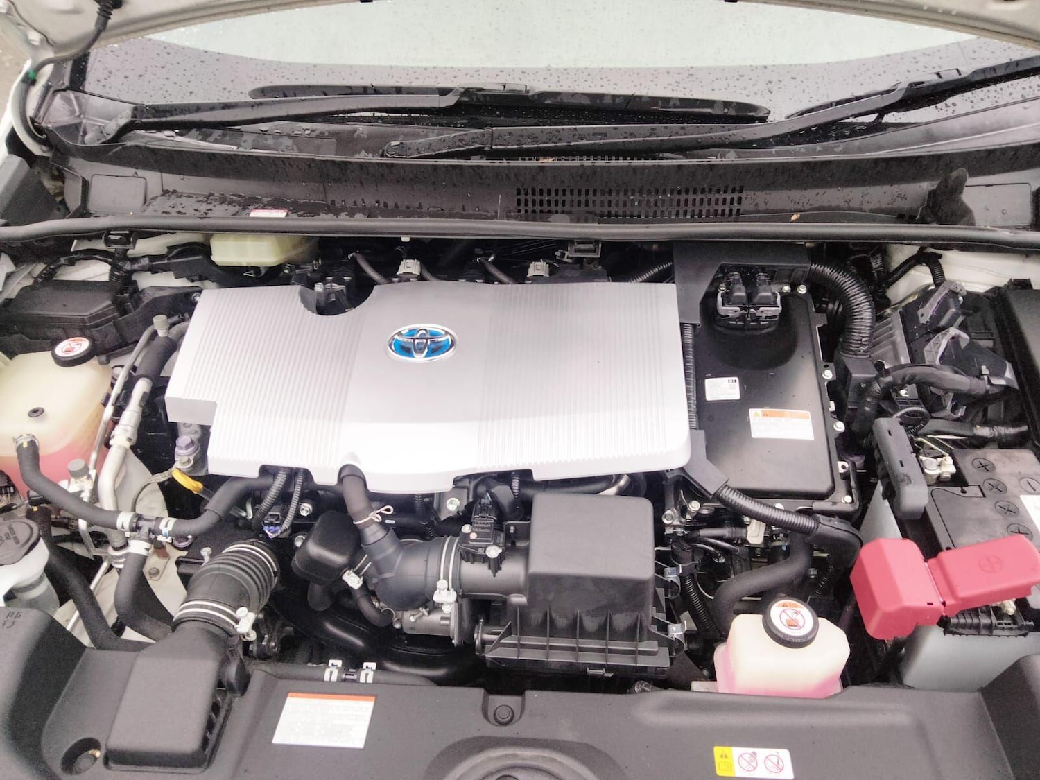 Used Toyota Prius 2025 for sale - 76765587: Photo 32