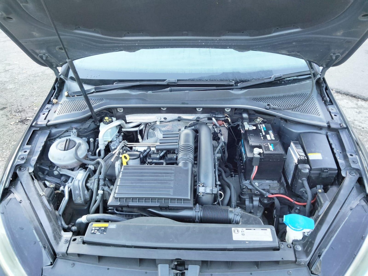 Used Volkswagen Golf 2025 for sale - 76994705: Photo 49