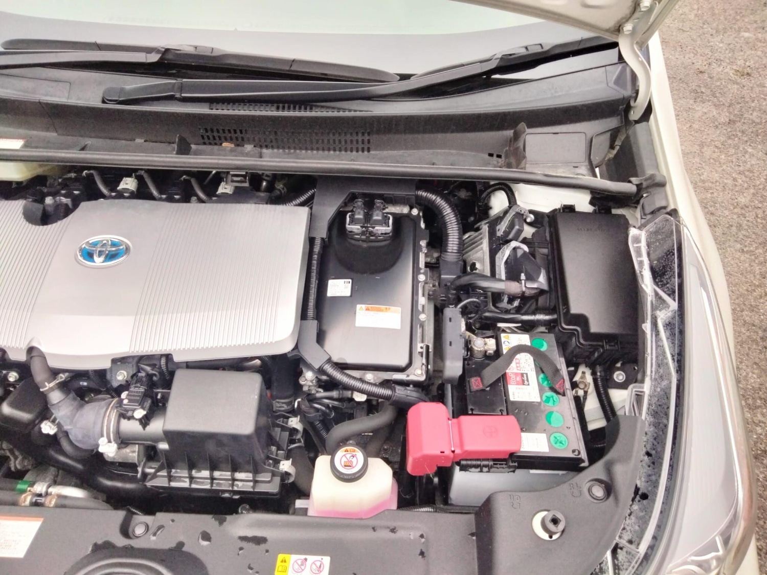 Used Toyota Prius 2025 for sale - 76549047: Photo 35