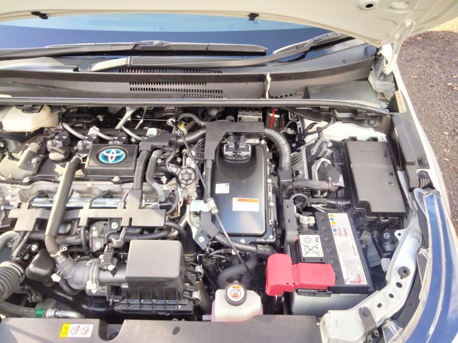 Used Toyota Corolla for sale - 76538063: Photo 44