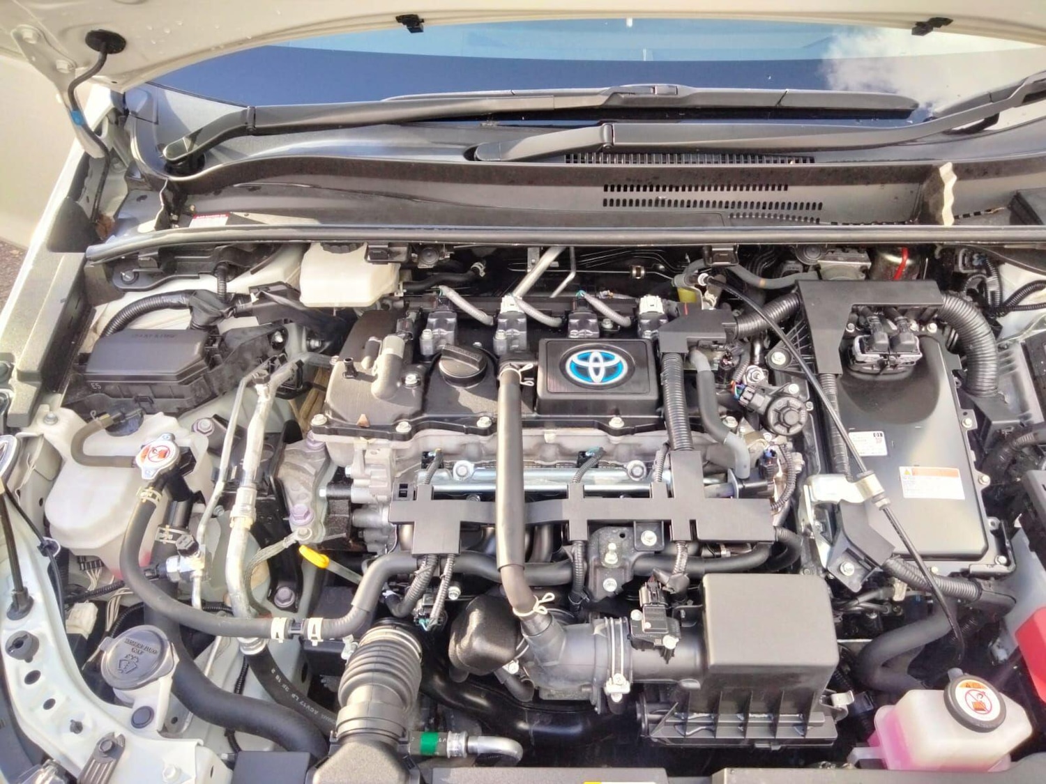 Used Toyota Corolla for sale - 76538063: Photo 45