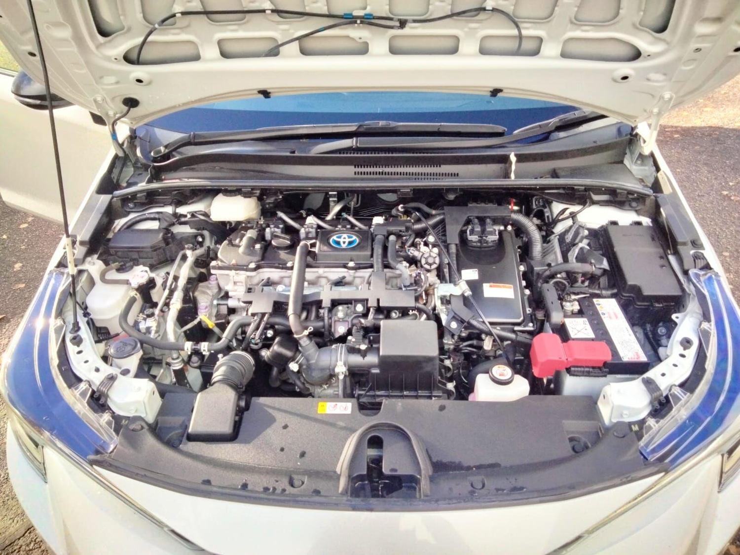 Used Toyota Corolla for sale - 76538063: Photo 46