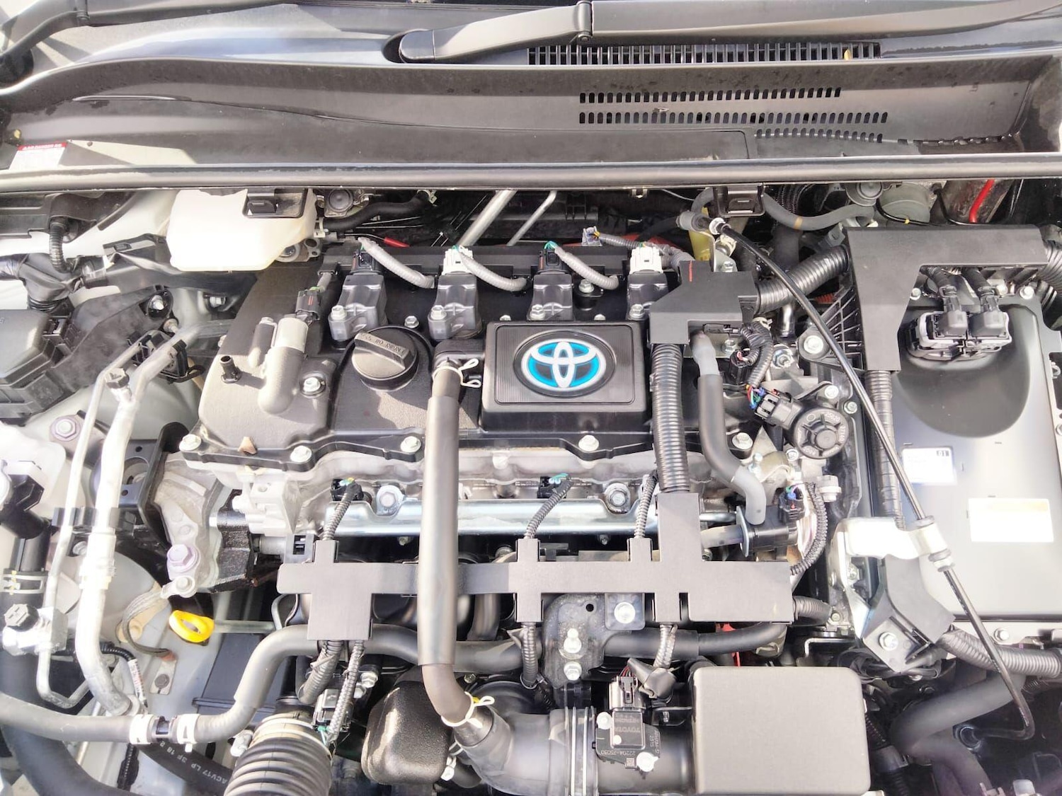 Used Toyota Corolla for sale - 76538063: Photo 48