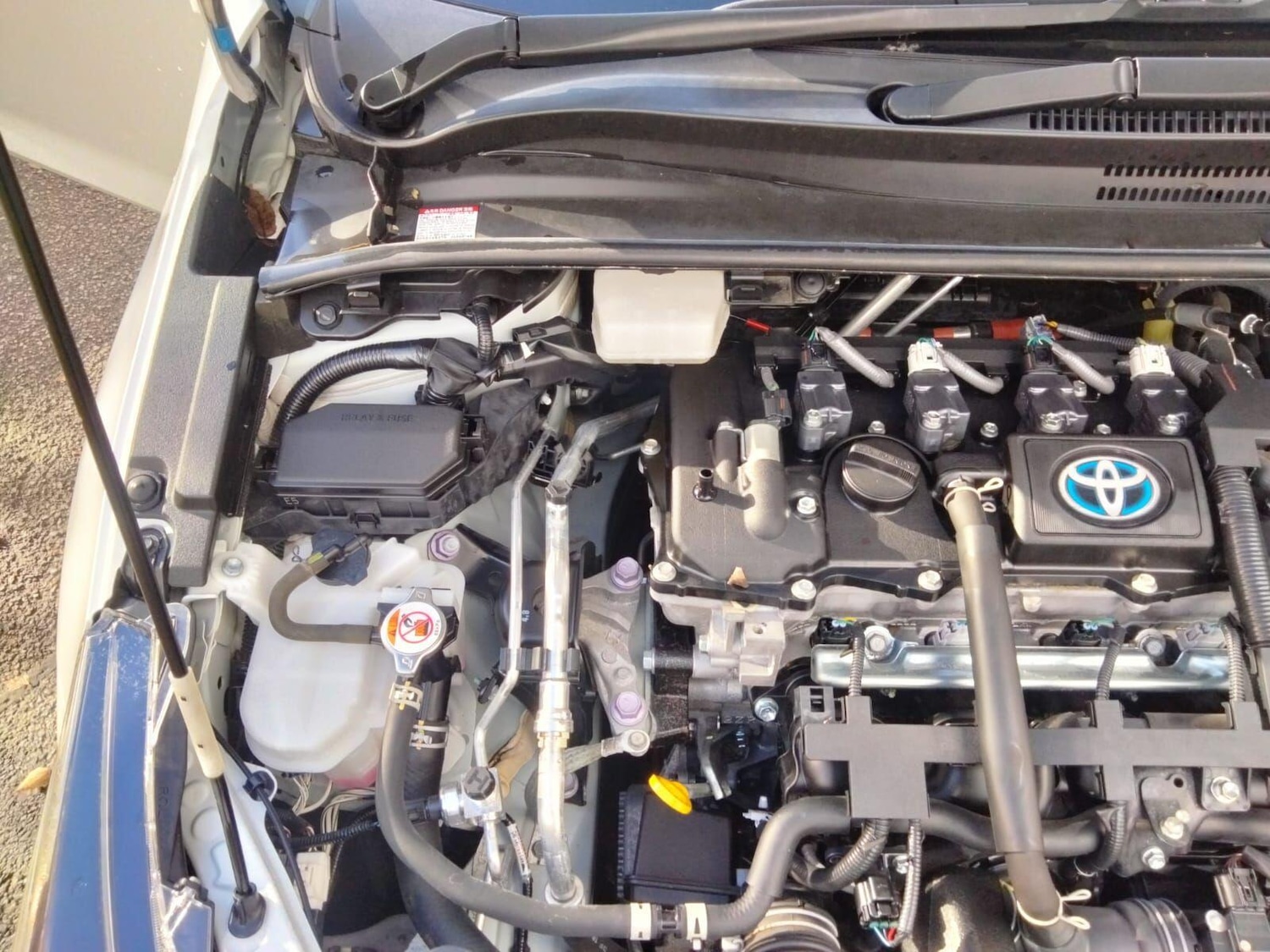 Used Toyota Corolla for sale - 76538063: Photo 49