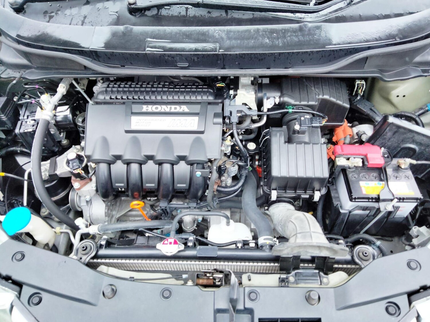 Used Honda Insight for sale - 76585566: Photo 48