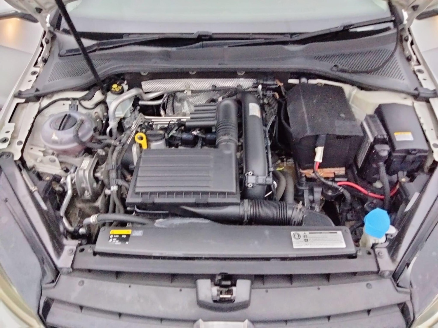 Used Volkswagen Golf 2025 for sale - 76735439: Photo 40