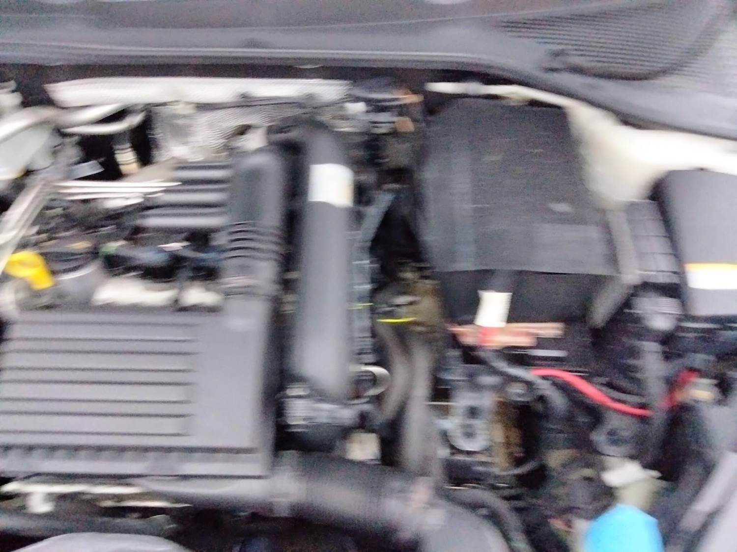 Used Volkswagen Golf 2025 for sale - 76735439: Photo 41