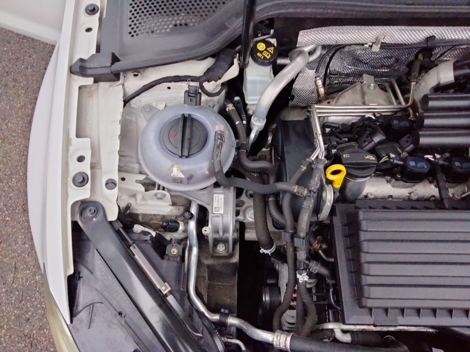 Used Volkswagen Golf 2025 for sale - 76735439: Photo 44